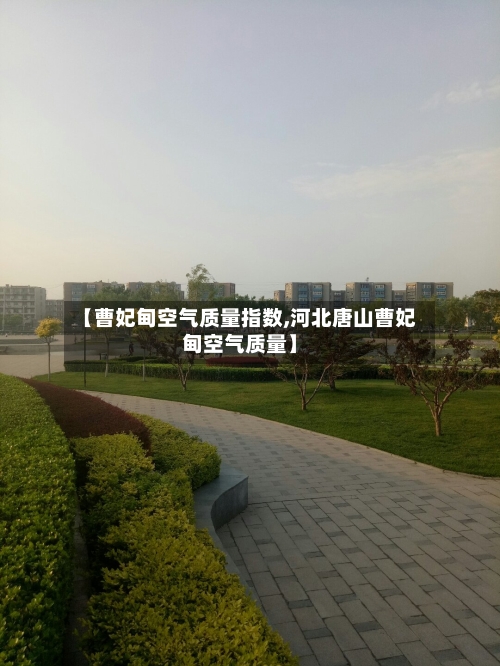 【曹妃甸空气质量指数,河北唐山曹妃甸空气质量】