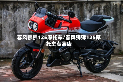 春风狒狒125摩托车/春风狒狒125摩托车专卖店