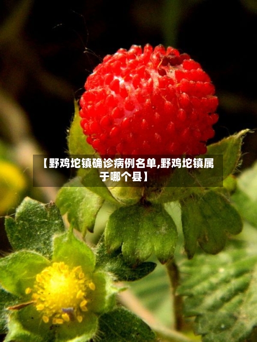 【野鸡坨镇确诊病例名单,野鸡坨镇属于哪个县】