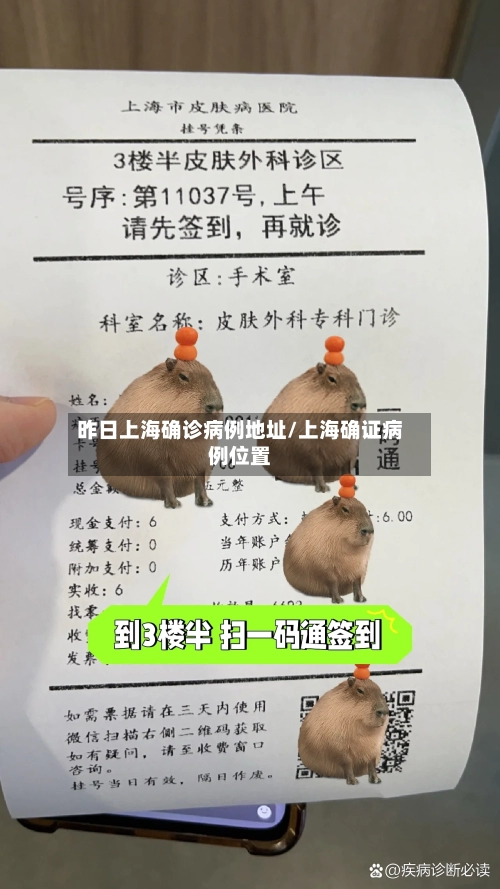 昨日上海确诊病例地址/上海确证病例位置