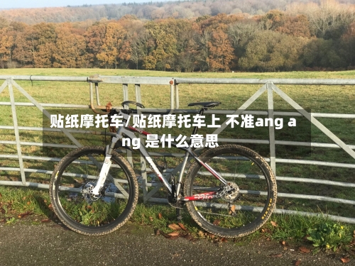 贴纸摩托车/贴纸摩托车上 不准ang ang 是什么意思