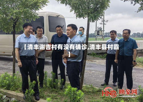 【清丰谢吉村有没有确诊,清丰县村霸】