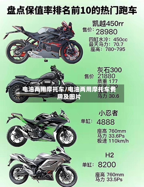 电油两用摩托车/电油两用摩托车费用及图片