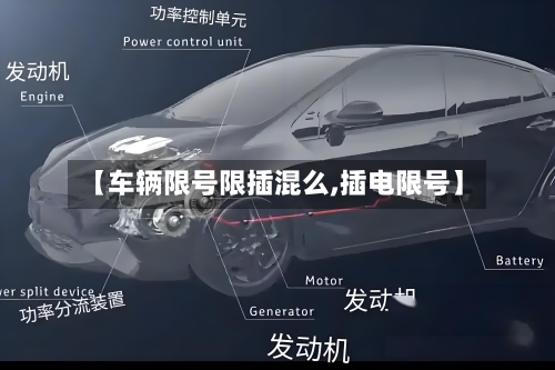 【车辆限号限插混么,插电限号】-第3张图片