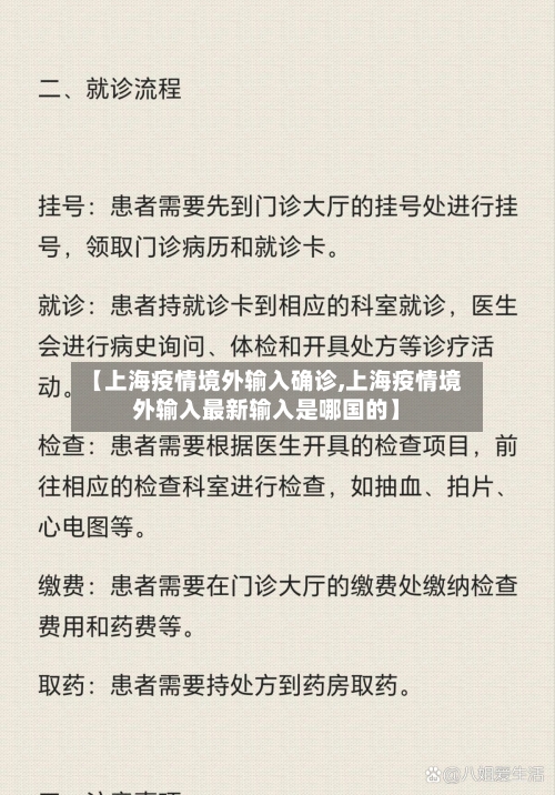 【上海疫情境外输入确诊,上海疫情境外输入最新输入是哪国的】-第2张图片