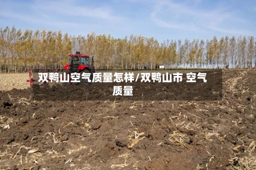 双鸭山空气质量怎样/双鸭山市 空气质量-第2张图片