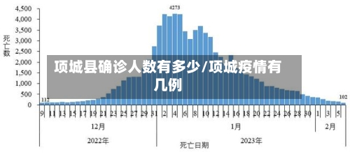 项城县确诊人数有多少/项城疫情有几例-第3张图片