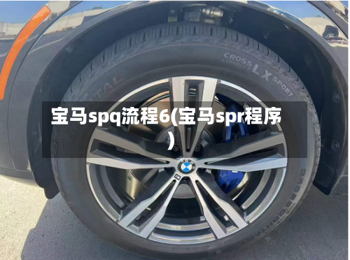 宝马spq流程6(宝马spr程序)