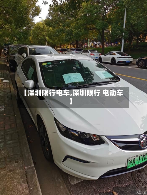 【深圳限行电车,深圳限行 电动车】-第3张图片