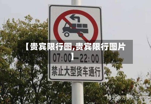 【贵宾限行图,贵宾限行图片】