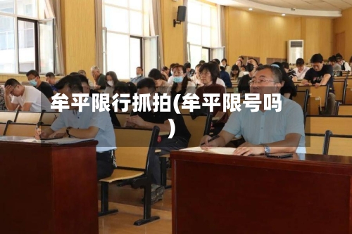 牟平限行抓拍(牟平限号吗)