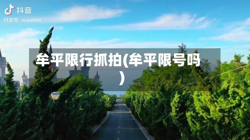 牟平限行抓拍(牟平限号吗)-第3张图片