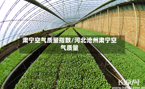 肃宁空气质量指数/河北沧州肃宁空气质量