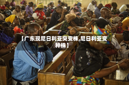 【广东现尼日利亚突变株,尼日利亚变种株】