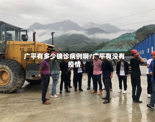 广平有多少确诊病例啊/广平有没有疫情