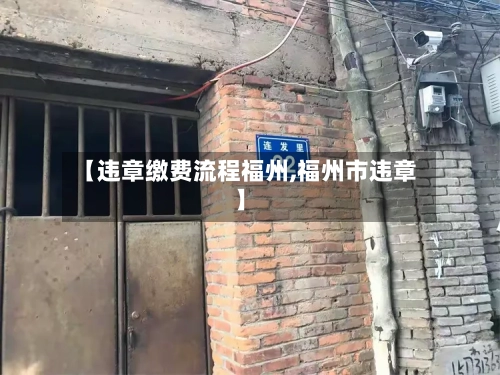 【违章缴费流程福州,福州市违章】