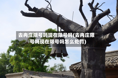 去冉庄限号吗现在限号吗(去冉庄限号吗现在限号吗怎么处罚)
