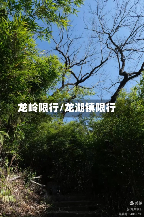 龙岭限行/龙湖镇限行-第3张图片