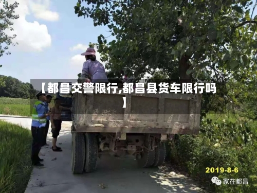 【都昌交警限行,都昌县货车限行吗】-第2张图片