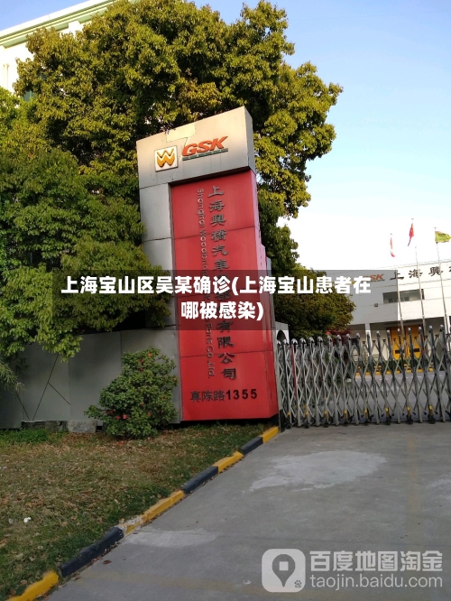 上海宝山区吴某确诊(上海宝山患者在哪被感染)-第2张图片