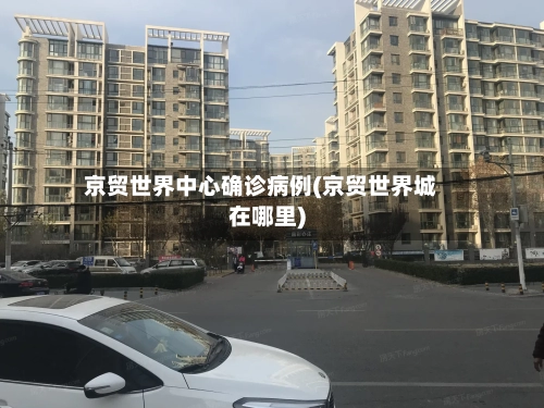 京贸世界中心确诊病例(京贸世界城在哪里)-第3张图片