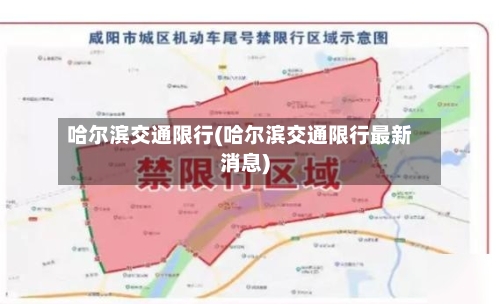 哈尔滨交通限行(哈尔滨交通限行最新消息)