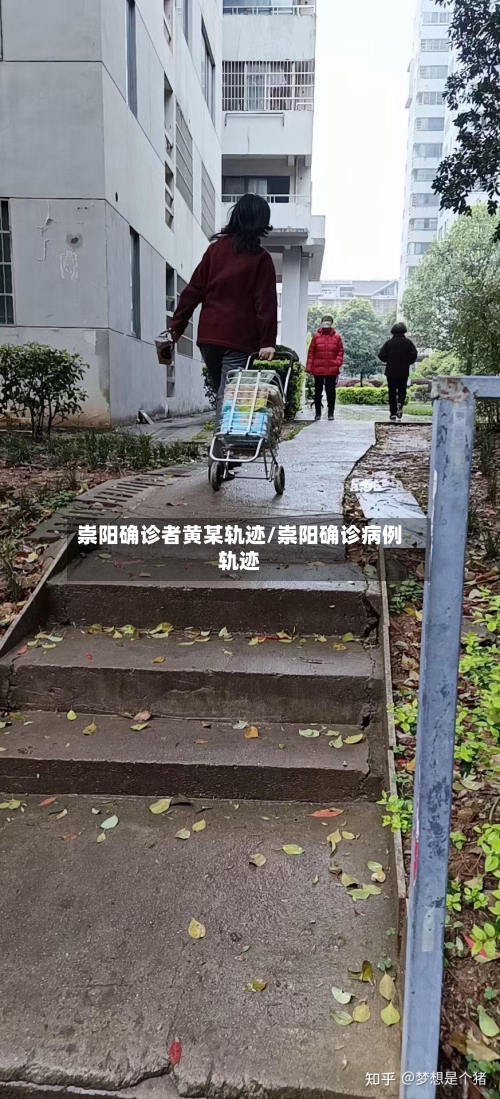 崇阳确诊者黄某轨迹/崇阳确诊病例轨迹-第2张图片