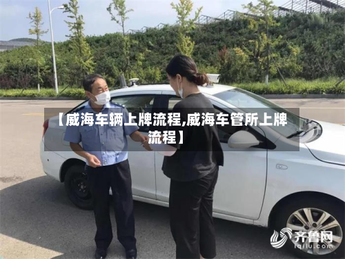 【威海车辆上牌流程,威海车管所上牌流程】