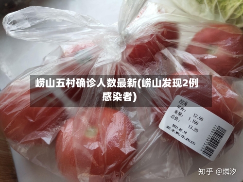 崂山五村确诊人数最新(崂山发现2例感染者)-第3张图片