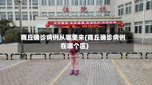 商丘确诊病例从哪里来(商丘确诊病例在哪个区)-第2张图片