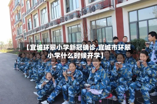 【宜城环翠小学新冠确诊,宜城市环翠小学什么时候开学】