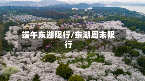 端午东湖限行/东湖周末限行-第2张图片