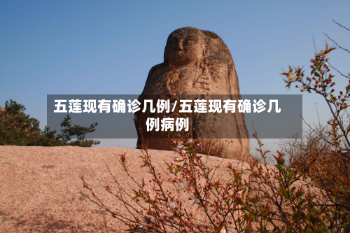 五莲现有确诊几例/五莲现有确诊几例病例-第3张图片