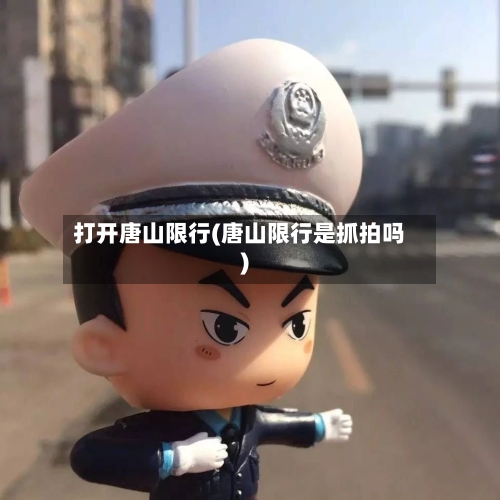 打开唐山限行(唐山限行是抓拍吗)-第2张图片