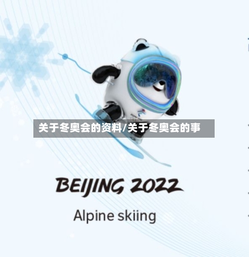 关于冬奥会的资料/关于冬奥会的事