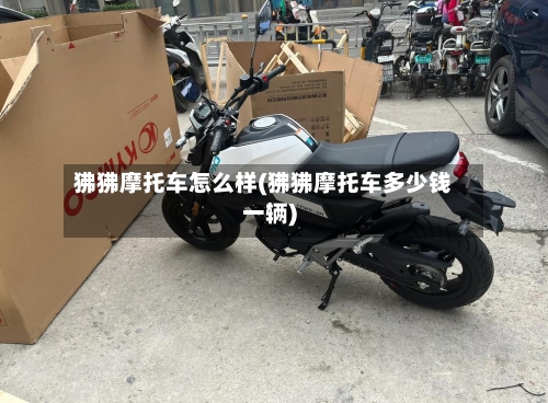 狒狒摩托车怎么样(狒狒摩托车多少钱一辆)-第2张图片