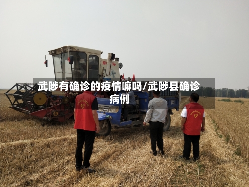 武陟有确诊的疫情嘛吗/武陟县确诊病例-第3张图片