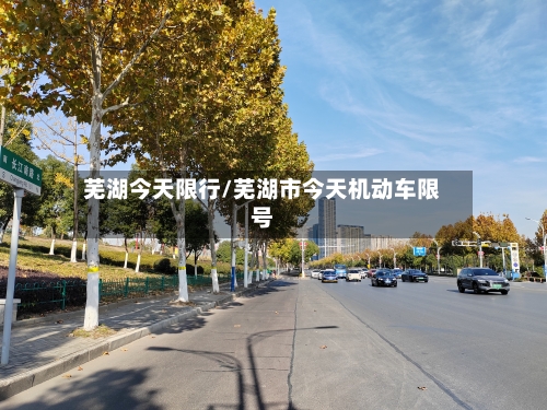 芜湖今天限行/芜湖市今天机动车限号-第3张图片