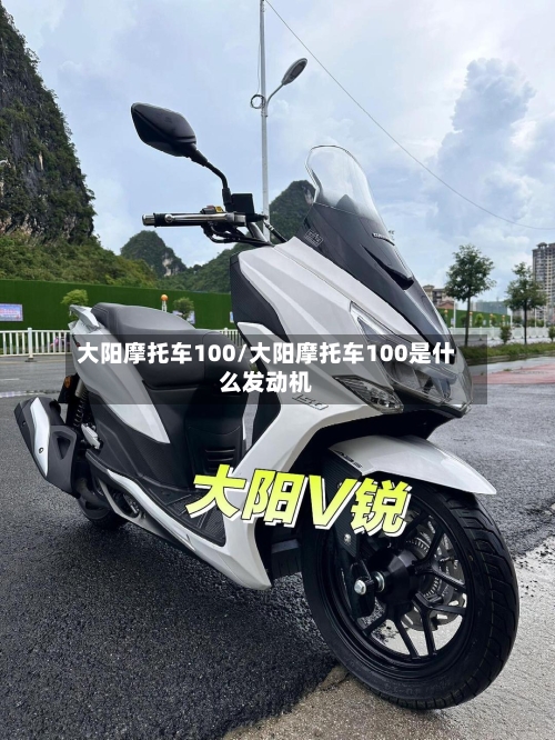 大阳摩托车100/大阳摩托车100是什么发动机-第2张图片