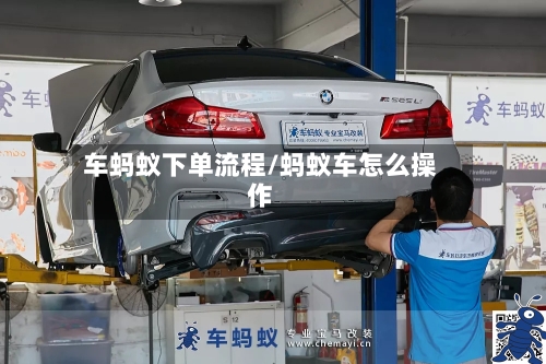 车蚂蚁下单流程/蚂蚁车怎么操作