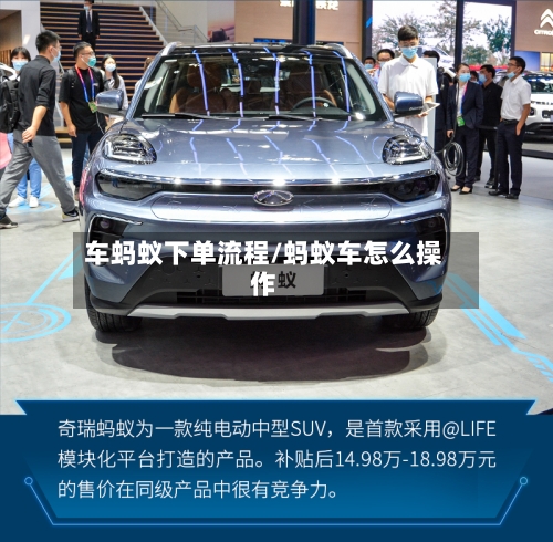 车蚂蚁下单流程/蚂蚁车怎么操作-第2张图片