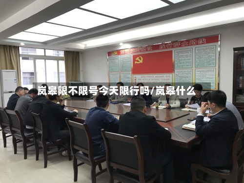 岚皋限不限号今天限行吗/岚皋什么