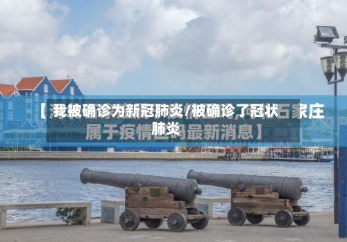 我被确诊为新冠肺炎/被确诊了冠状肺炎-第3张图片