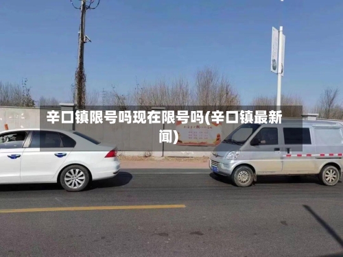 辛口镇限号吗现在限号吗(辛口镇最新闻)-第3张图片