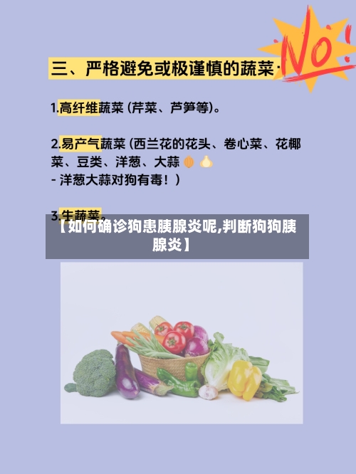 【如何确诊狗患胰腺炎呢,判断狗狗胰腺炎】