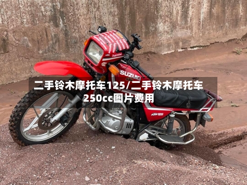 二手铃木摩托车125/二手铃木摩托车250cc图片费用