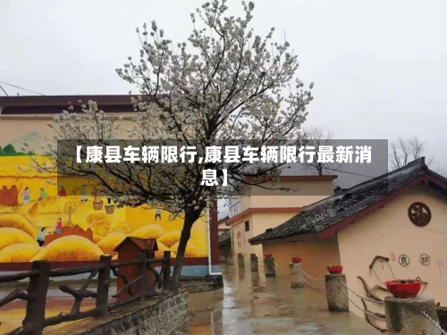 【康县车辆限行,康县车辆限行最新消息】-第3张图片