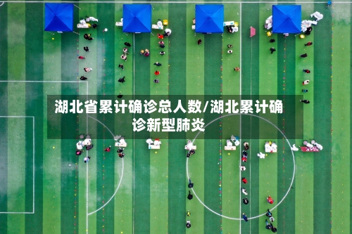 湖北省累计确诊总人数/湖北累计确诊新型肺炎-第2张图片