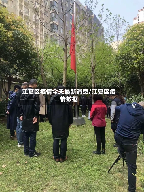 江夏区疫情今天最新消息/江夏区疫情数据-第3张图片