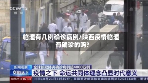 临潼有几例确诊病例/陕西疫情临潼有确诊的吗?-第2张图片